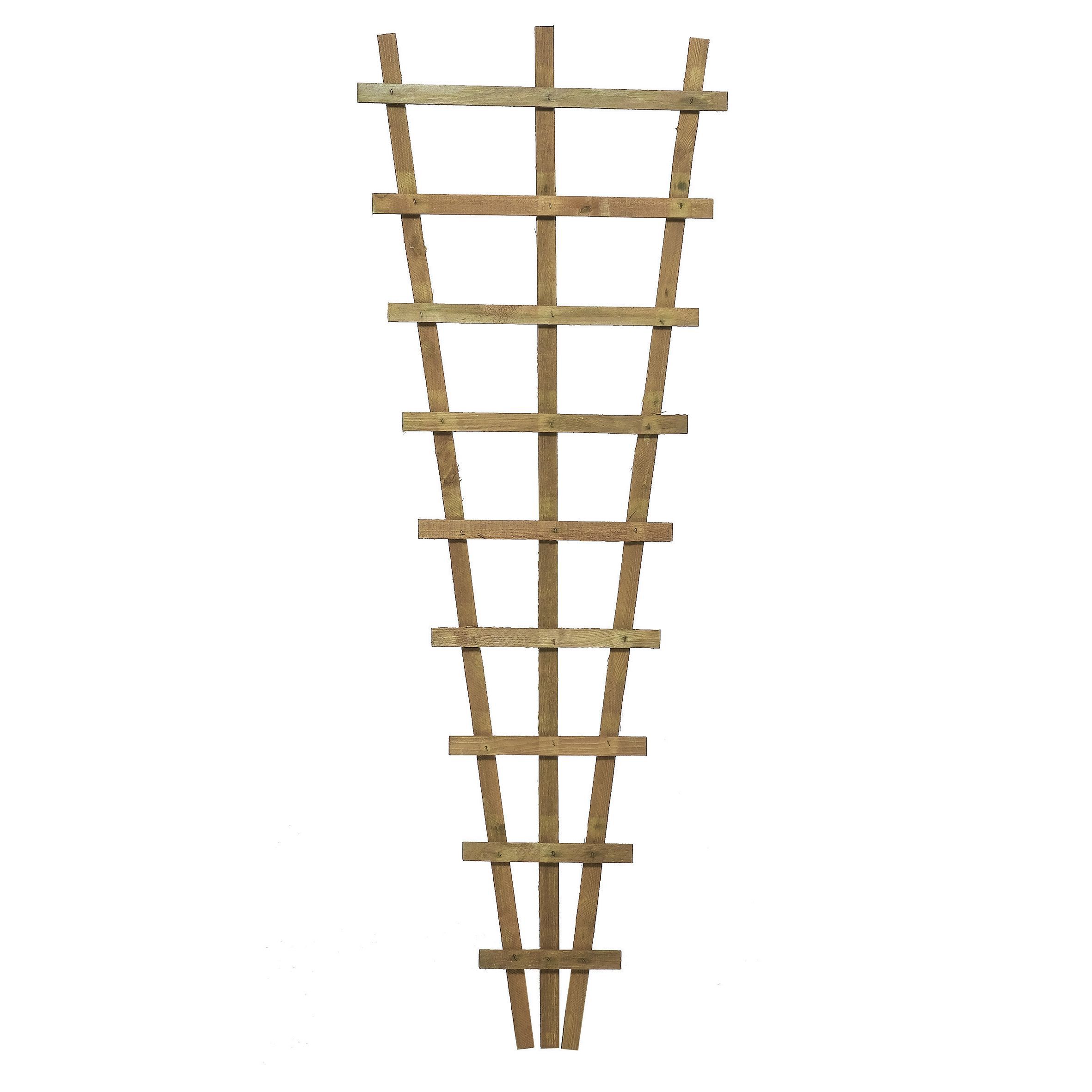 Traditional Fan Trellis (H)1.83m(W)0.66 m Departments DIY at B&Q