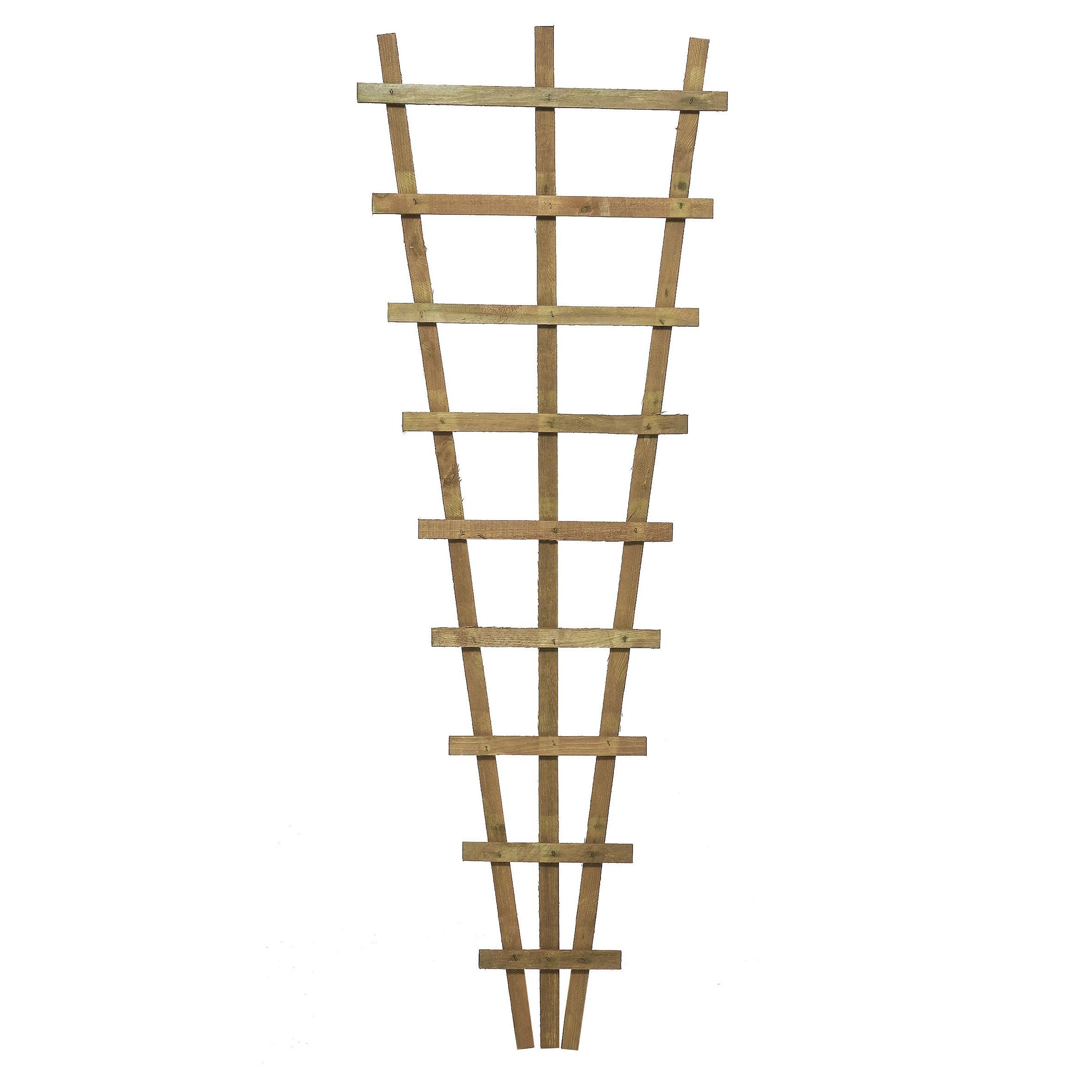 Traditional Fan Trellis (H)1.83m(W)0.66 M | Departments | DIY At B&Q