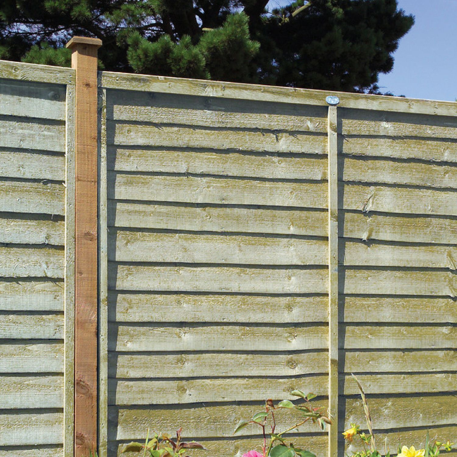 Grange Pro Lap Wooden Fence Panel 1.83 x 1.8m in garden