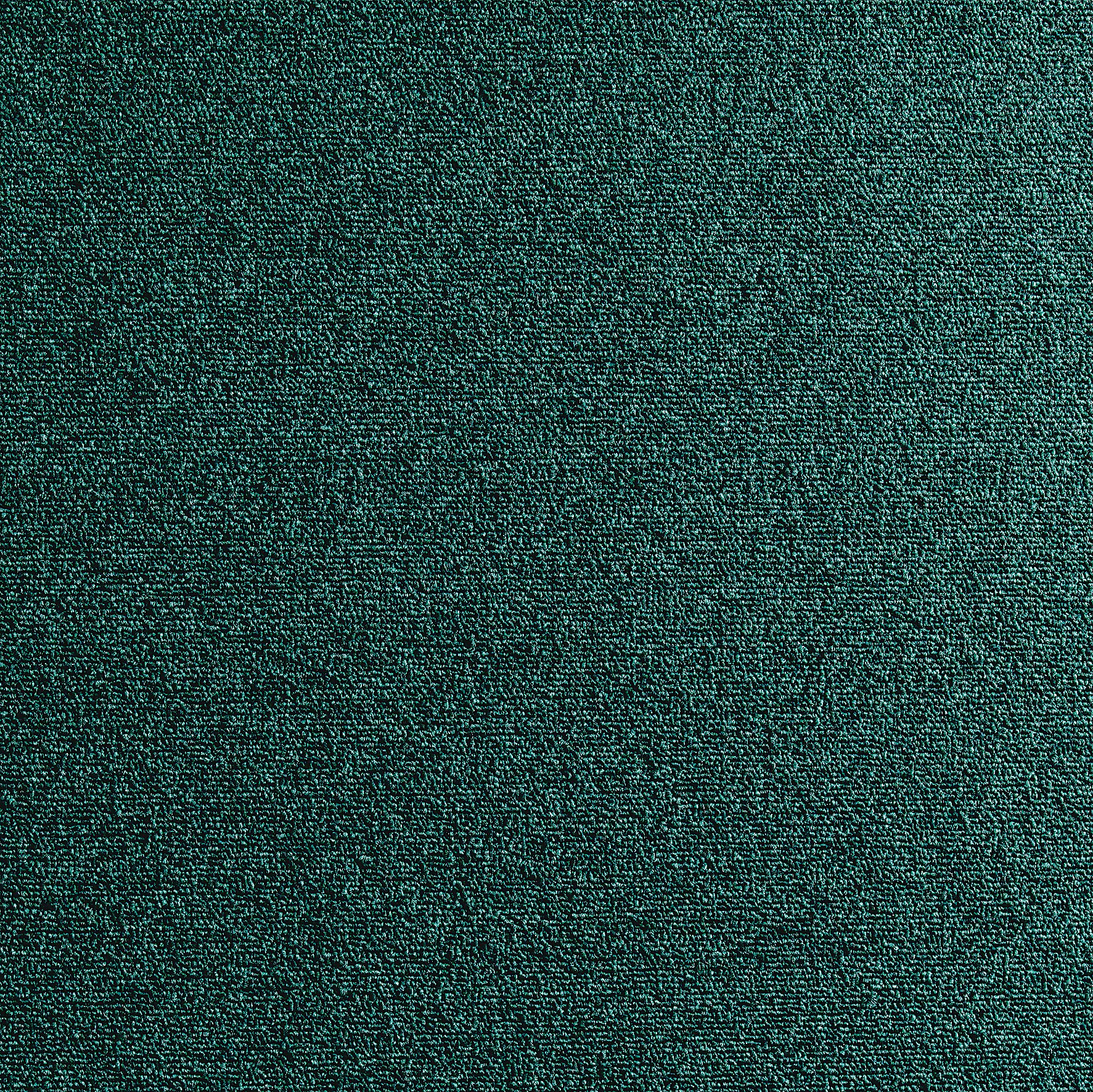 Colours Dark green Loop Carpet tile, (L)500mm Departments DIY at B&Q