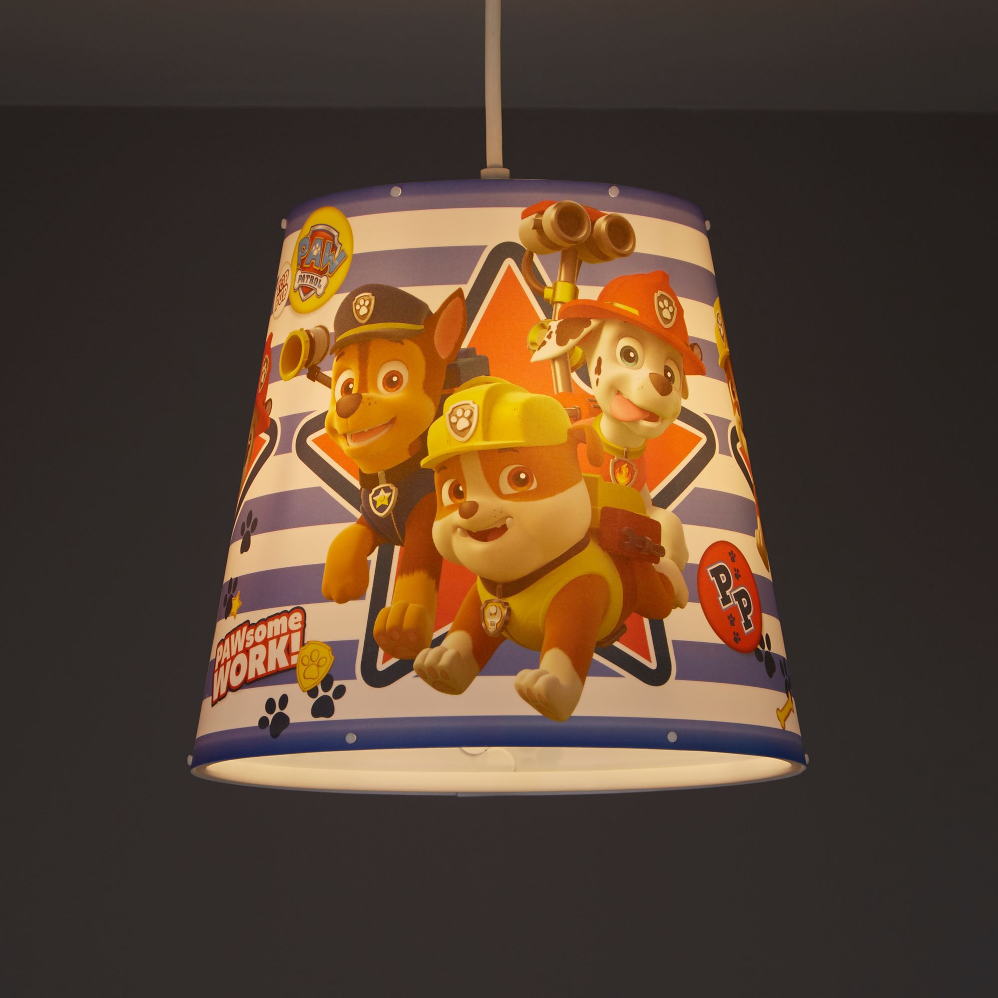 paw patrol lightshade