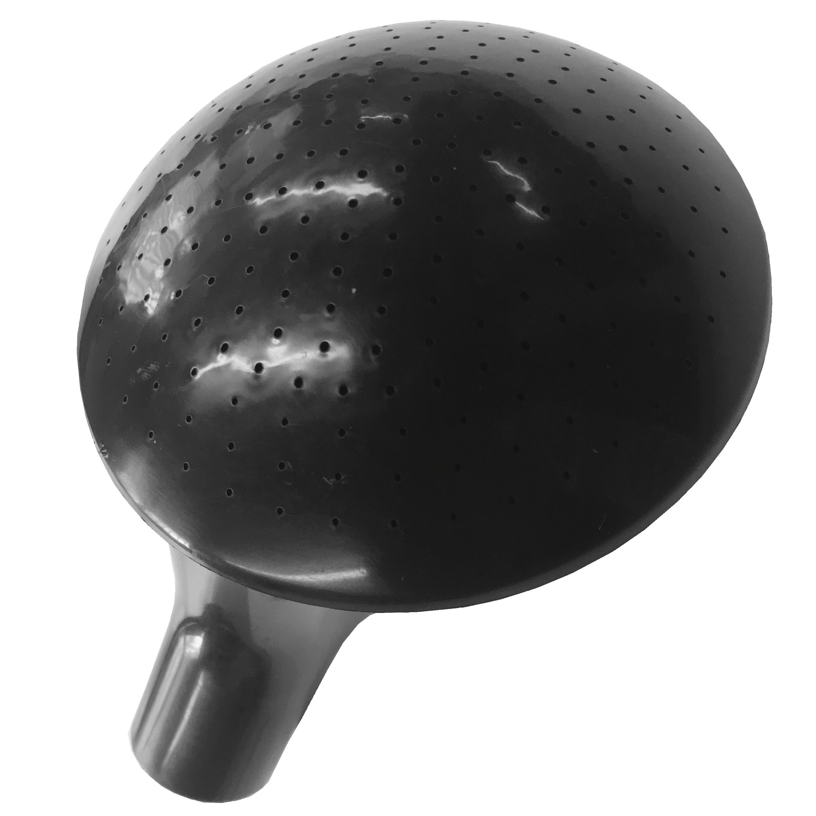 Ward Black Plastic Large watering can rose Departments DIY at B&Q