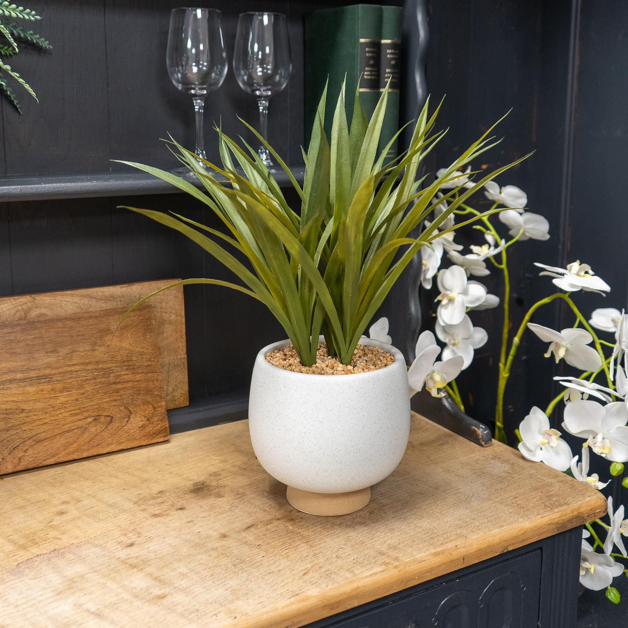 57cm Yukka Artificial plant in Cream Ceramic Pot