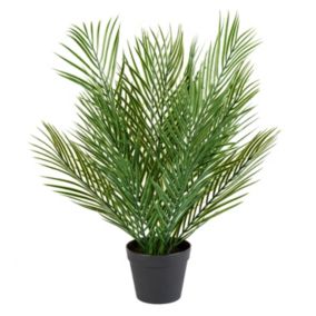 66cm Date Palm Artificial plant in Black Pot