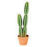 68cm Cereus Cactus Artificial plant in Terracotta Pot