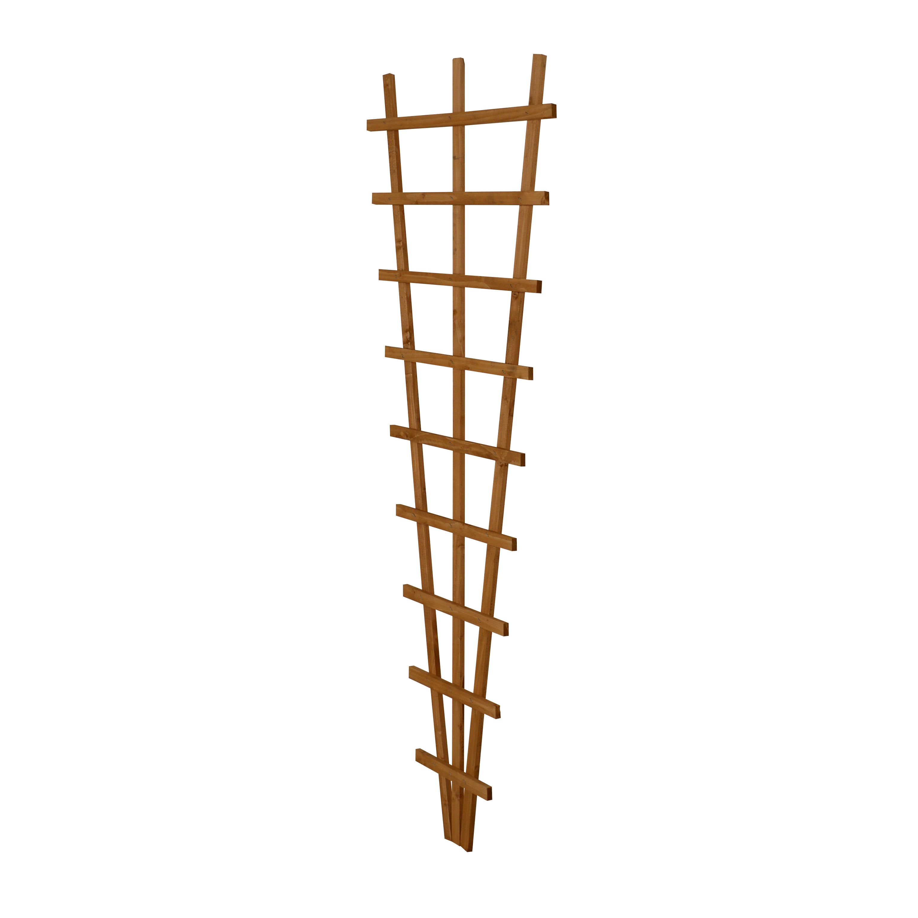 6ft Fan Pine Trellis panel (W)66cm x (H)183cm