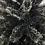 7ft Black tipped Fir Artificial Christmas tree