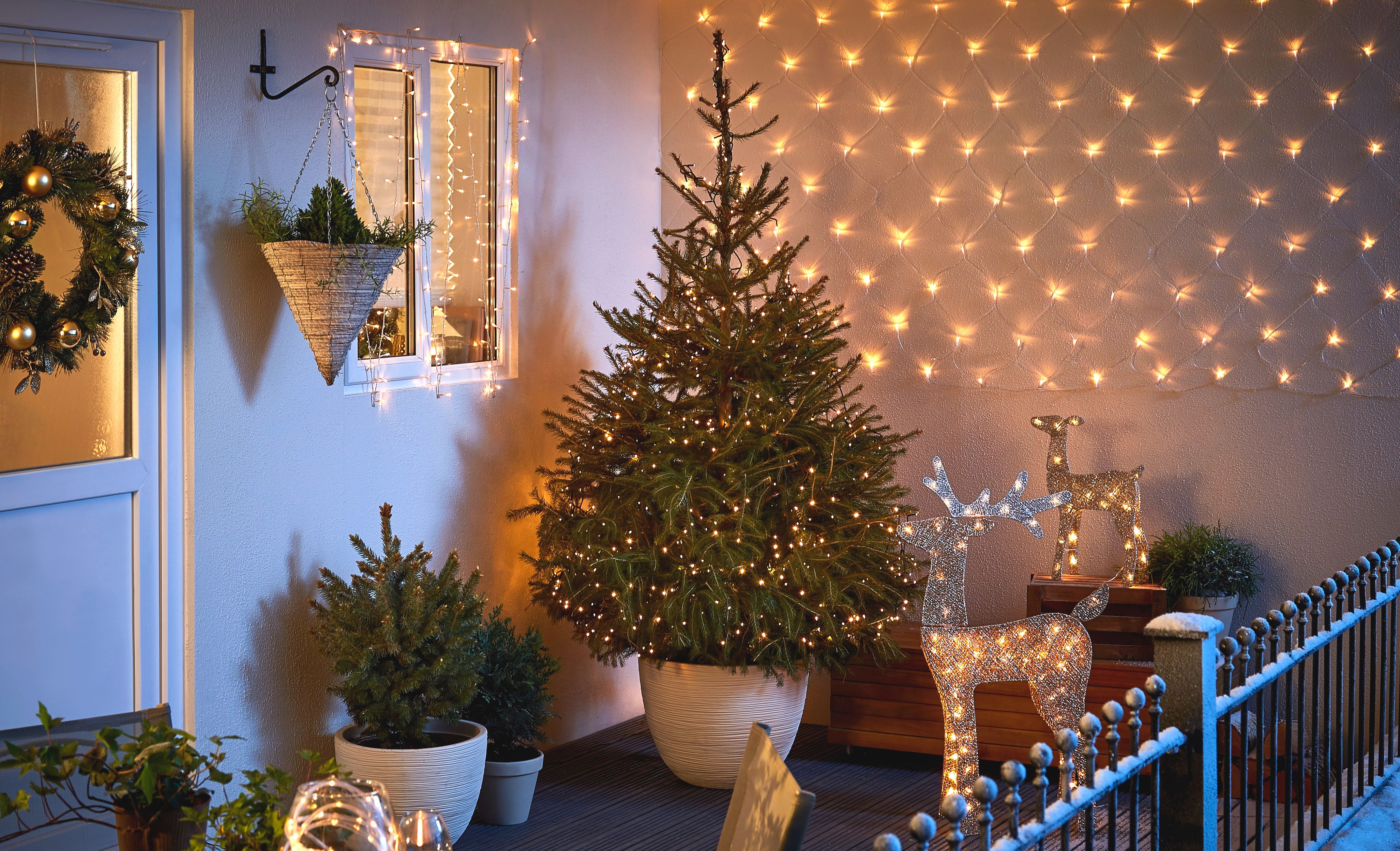 How To Care For A Real Christmas Tree Ideas Advice Diy At B Q