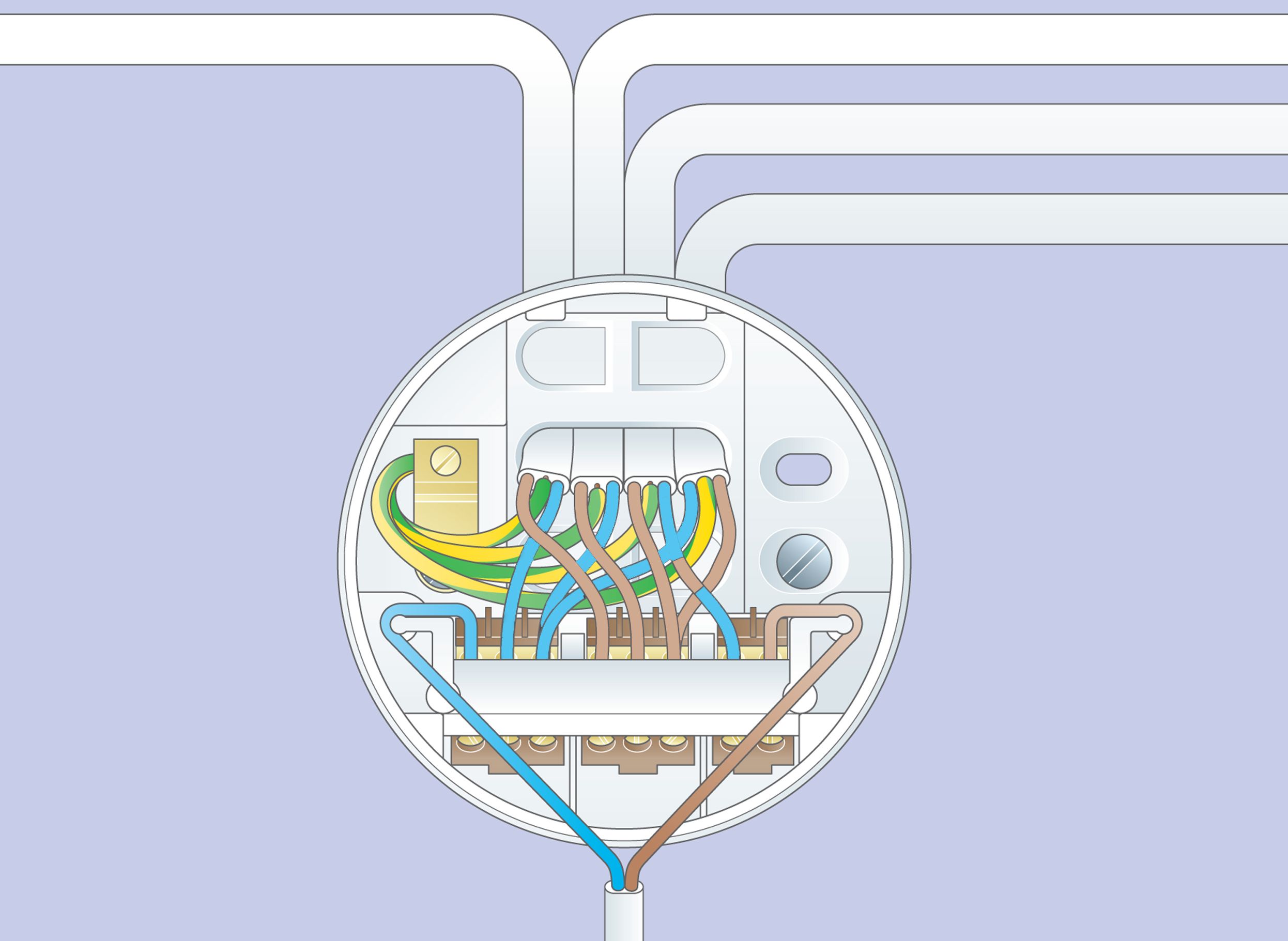 Wiring Diagram Ceiling Light Uk 3 Cable Ceiling Rose Wiring