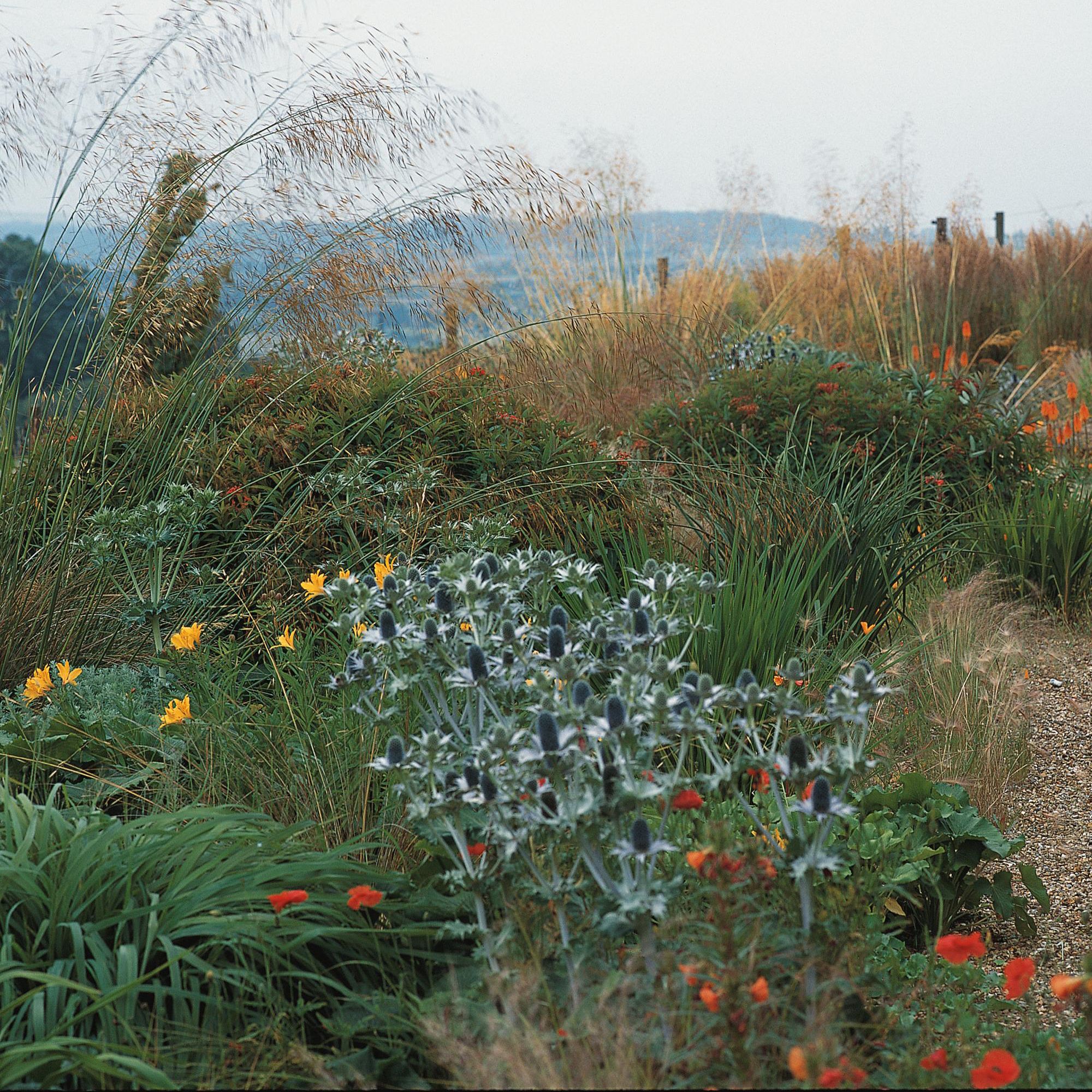 How to design a garden | Ideas & Advice | DIY at B&Q