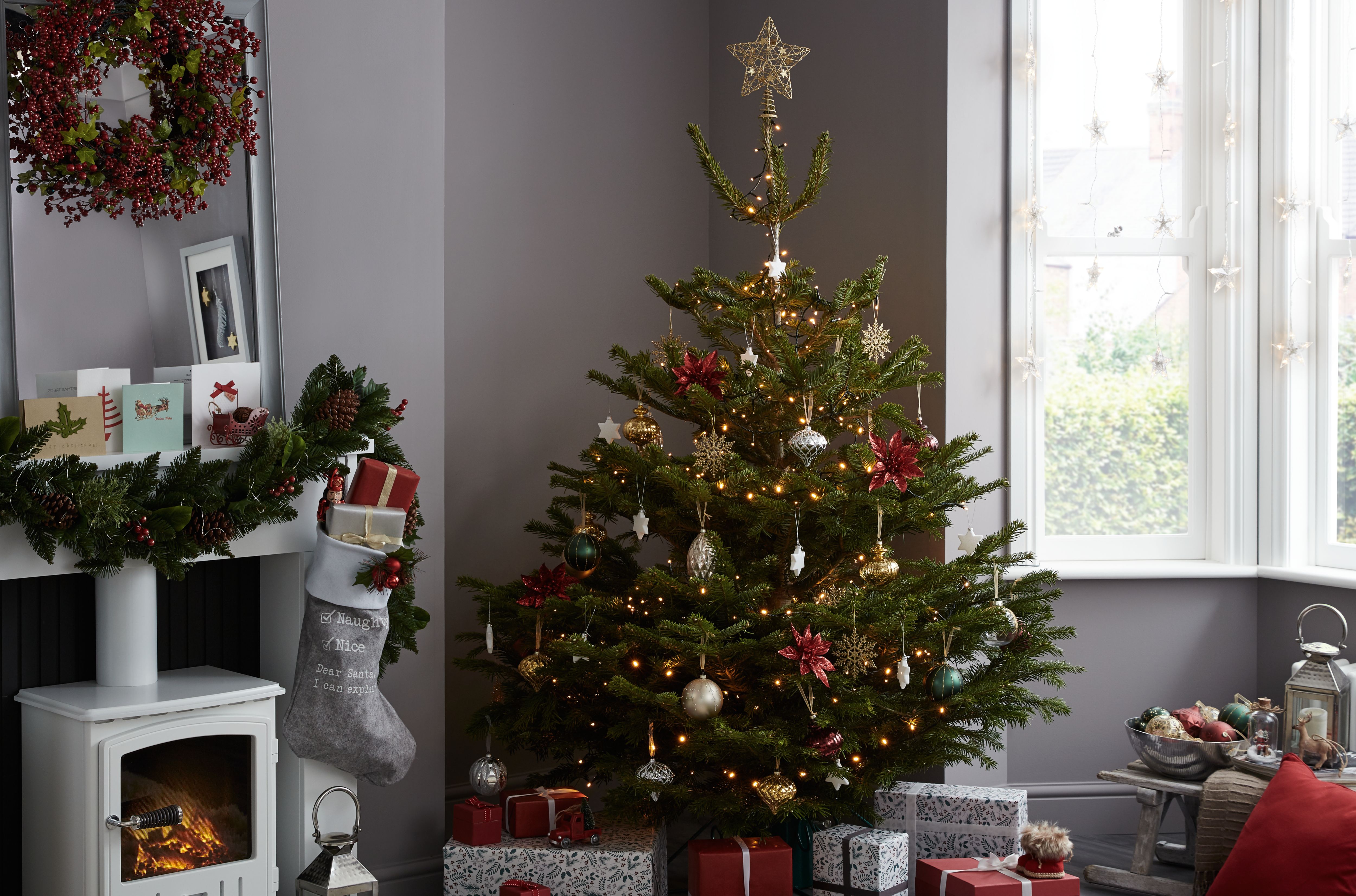 christmas tree suppliers