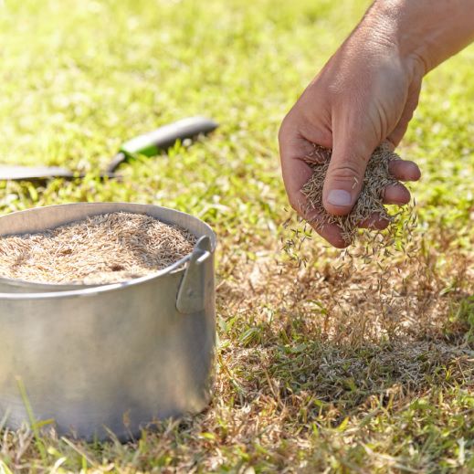 Lawn hand tools buying guide | Ideas & Advice | DIY at B&Q