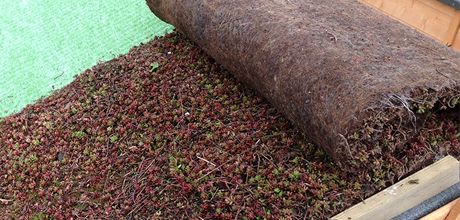 Living Roof | DIY at B&amp;Q