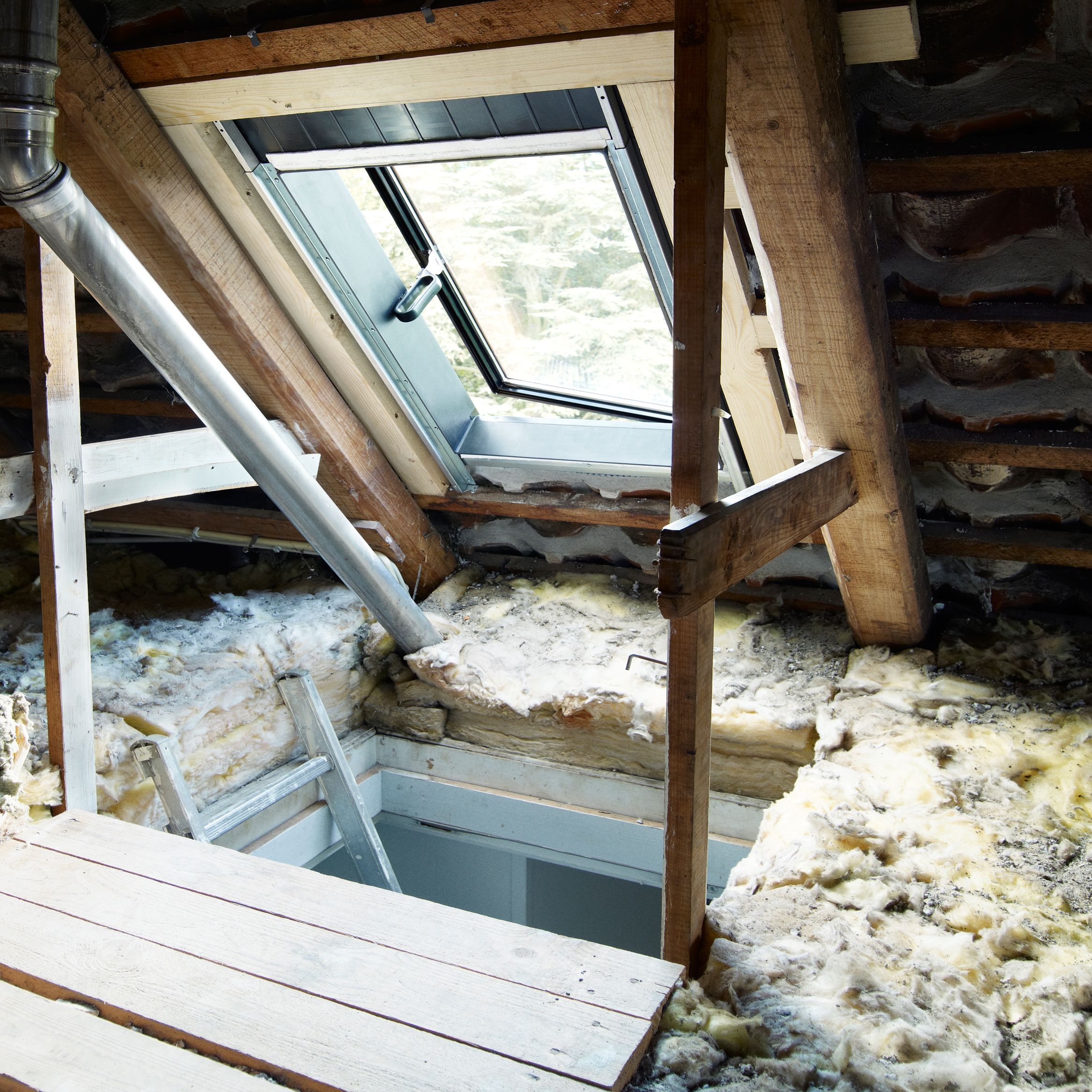 How To Work Safely In The Loft Ideas Advice Diy At B Q