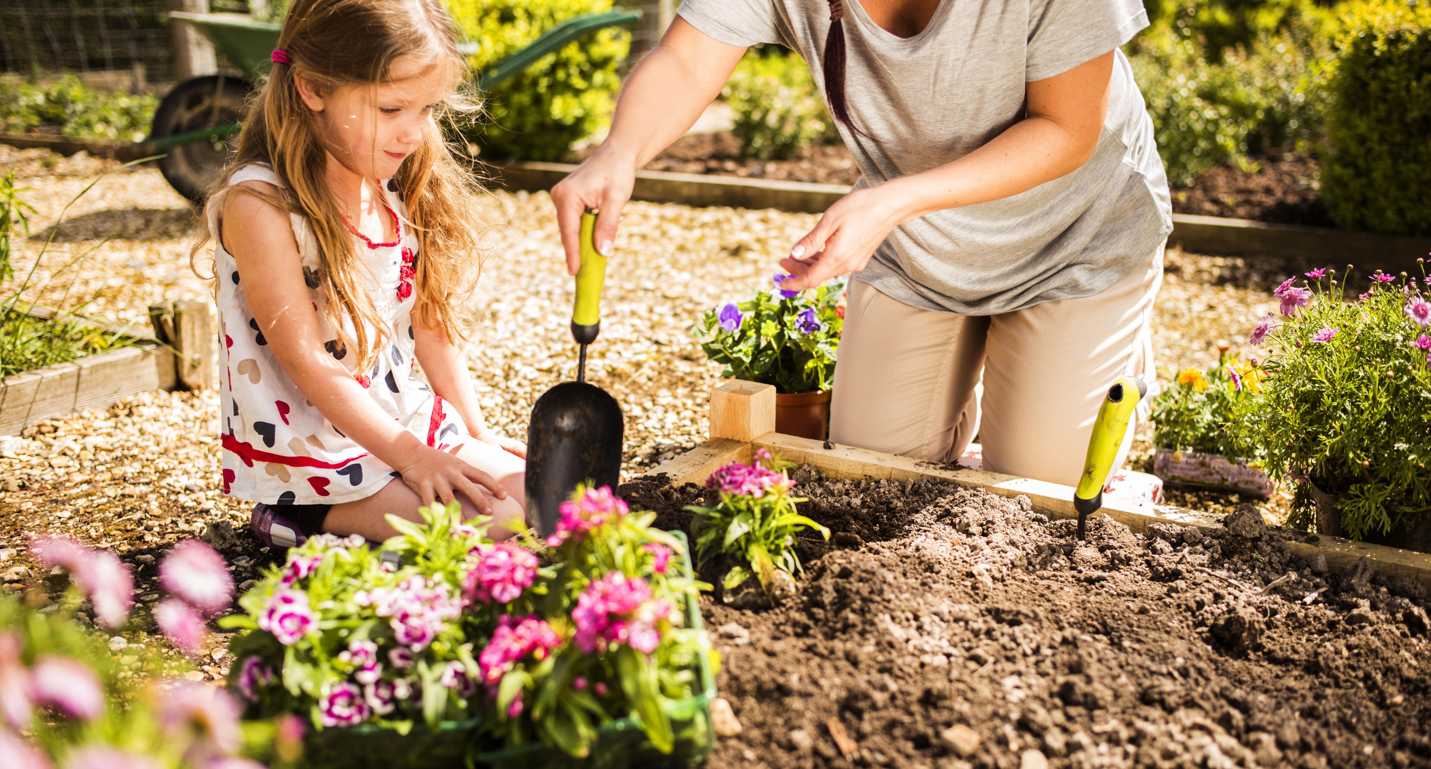 How To Prepare The Garden For Growing Plants Ideas Advice Diy At B Q
