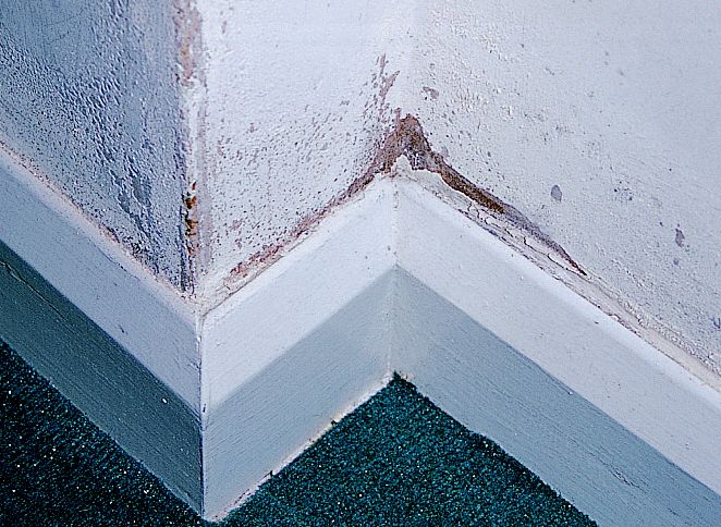 how to identify, repair & protect against damp at home | ideas