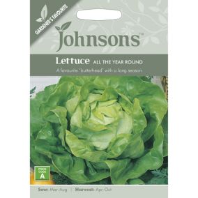 All the Year Round Lettuce Seed