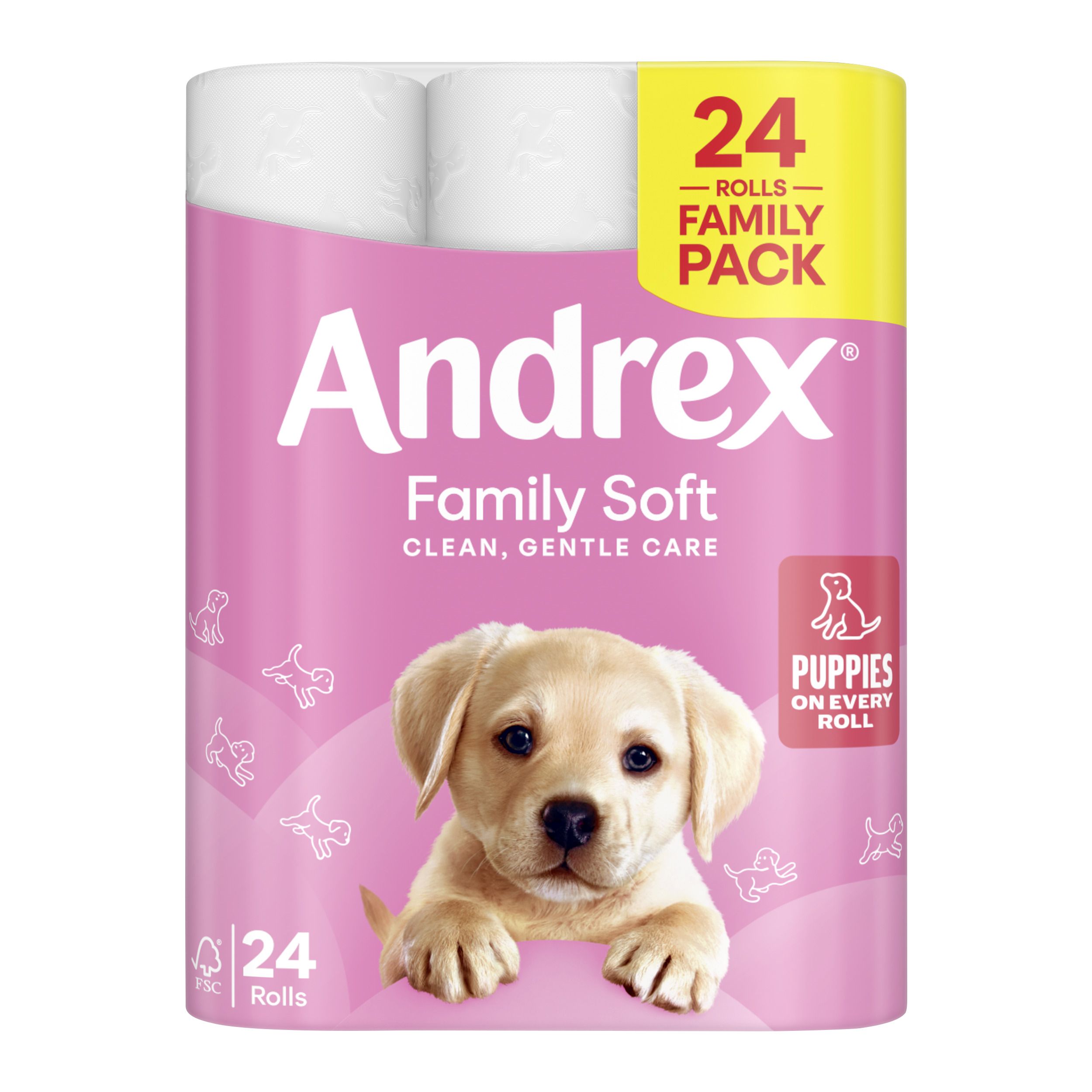 Andrex White Toilet roll, Pack of 24