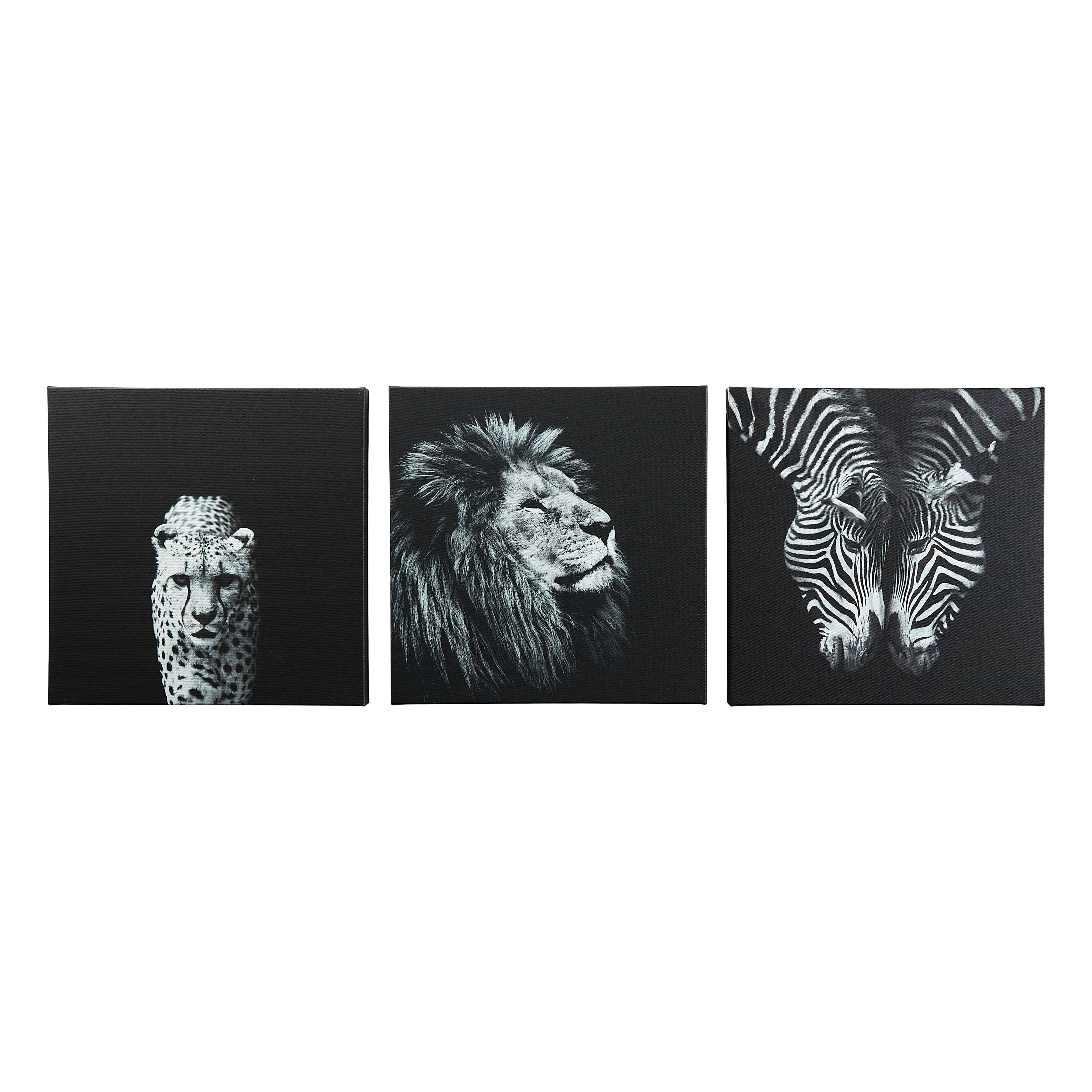 Animals Black & white Canvas art, Set of 3 (H)30cm x (W)90cm