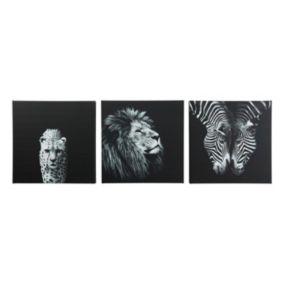 Animals Black & white Canvas art, Set of 3 (H)30cm x (W)90cm