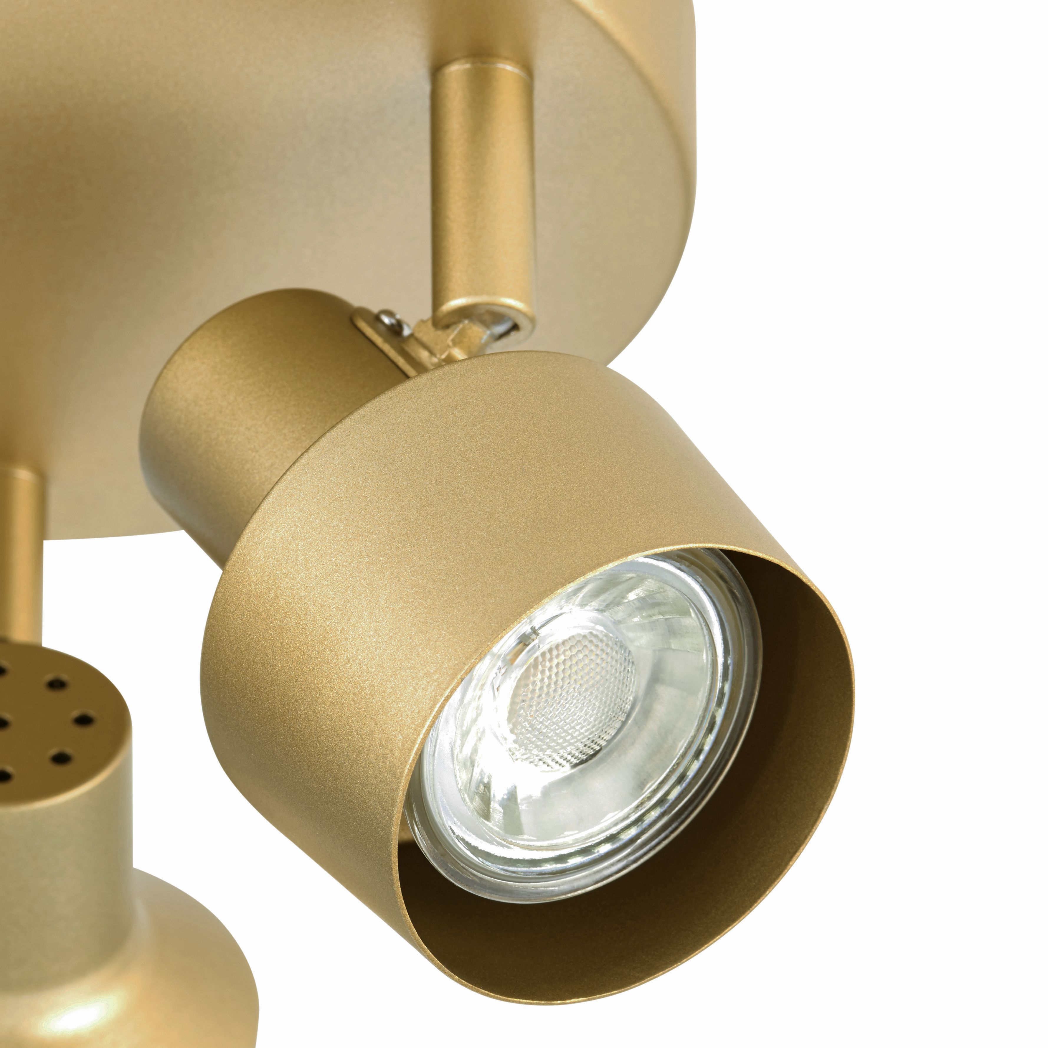 Anise Satin gold effect 3 Light Spotlight plate