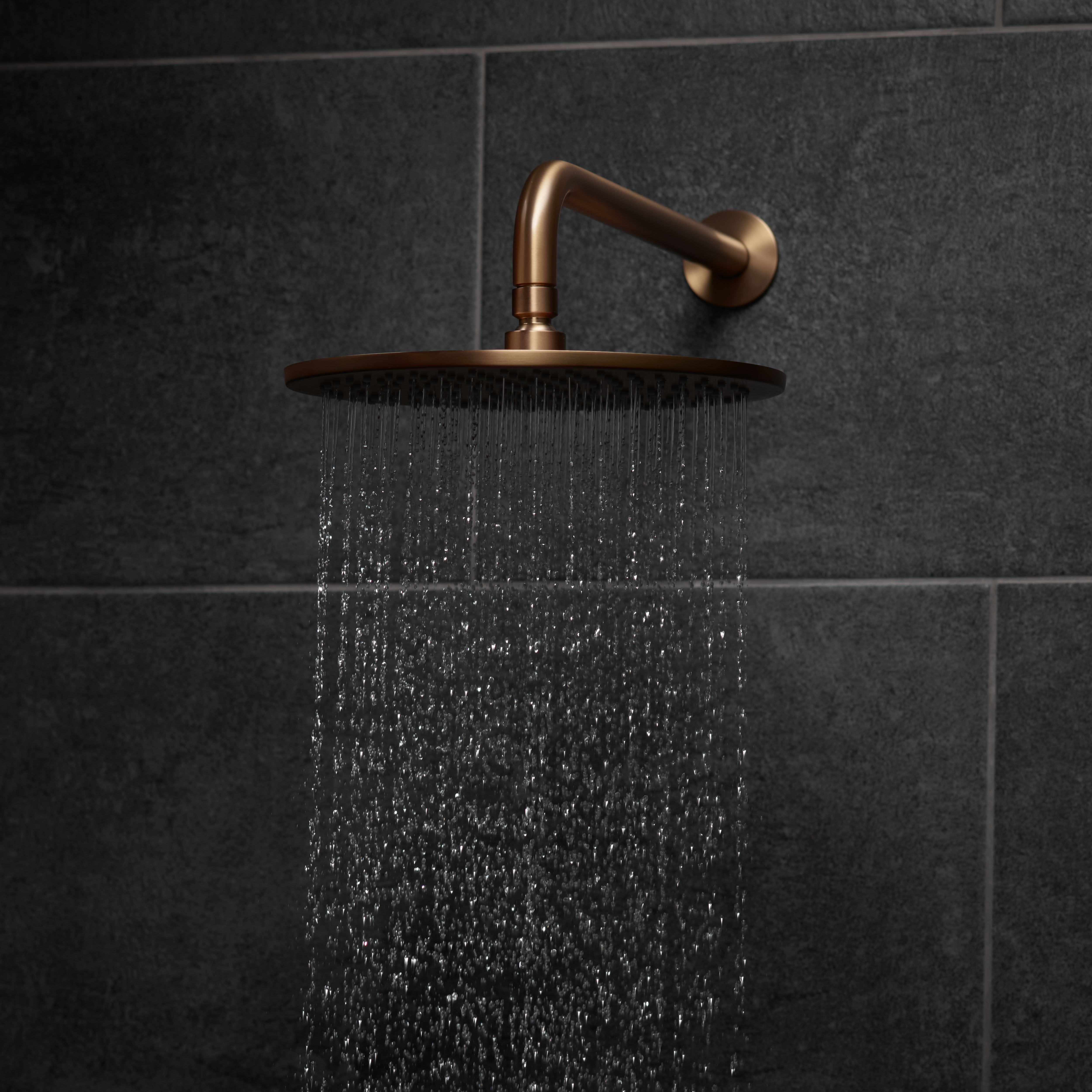 Aquadry Oria Bronze effect Single-spray pattern Shower head, 250mm