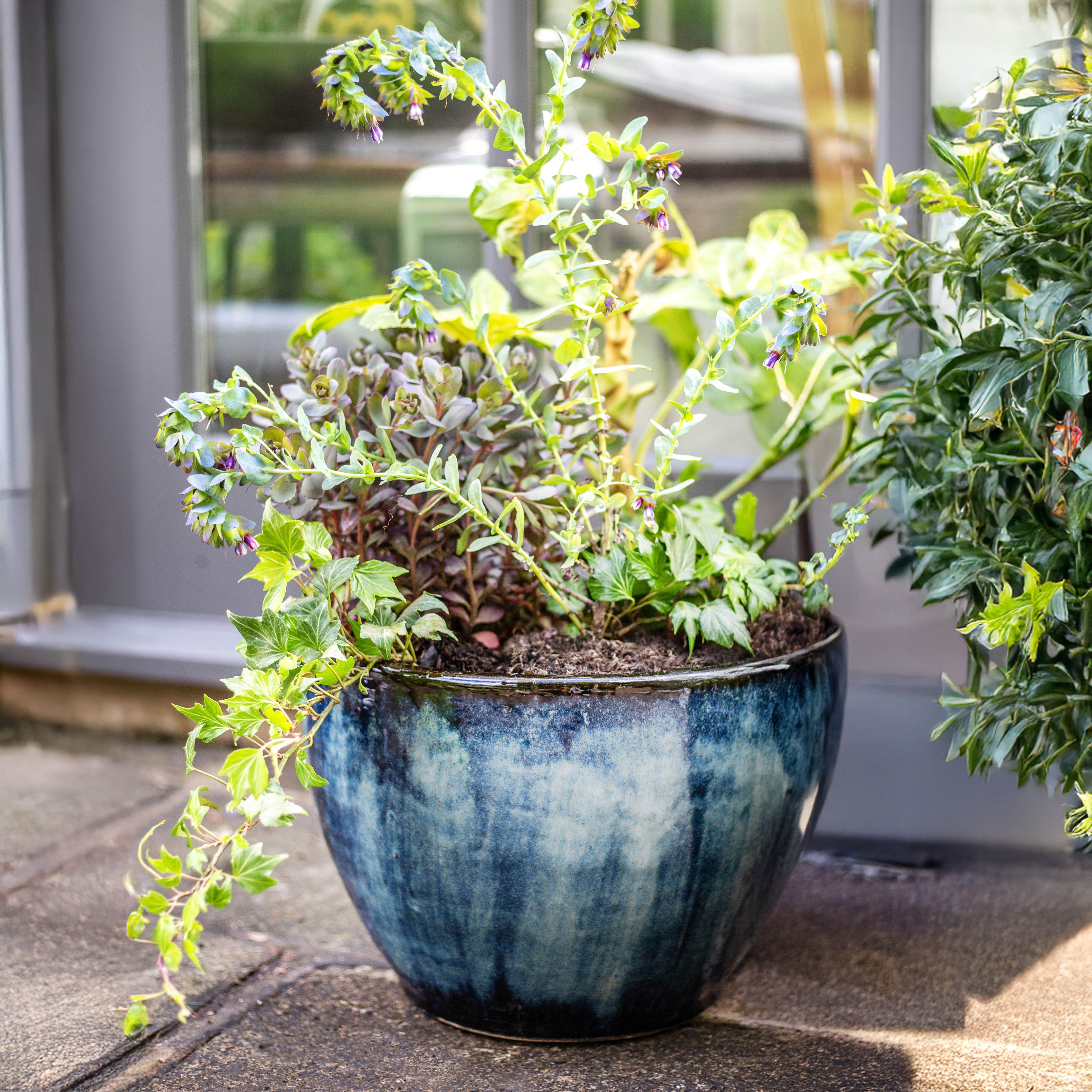 Aquaflora Blue Terracotta Glazed Plant pot (H)26cm