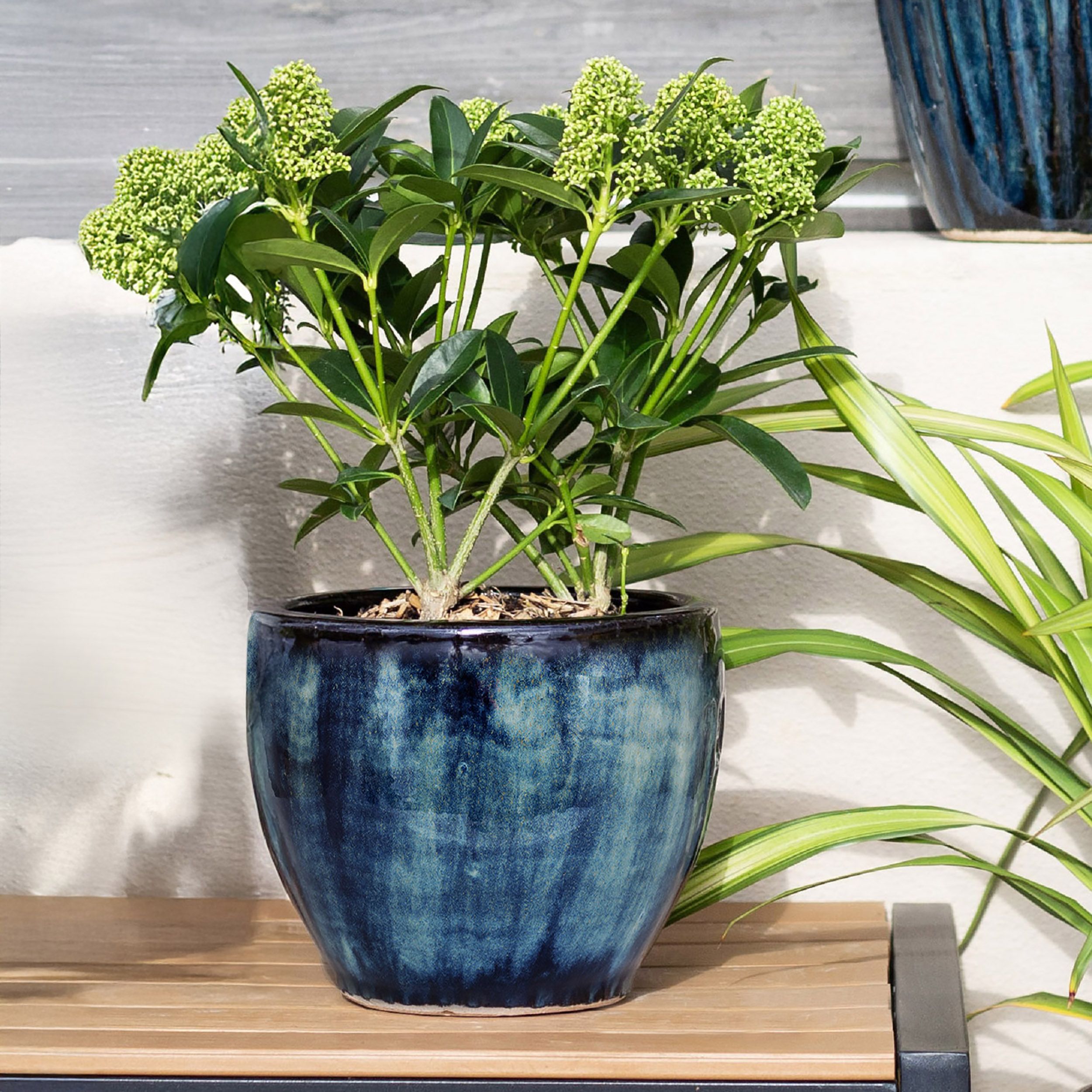 Aquaflora Blue Terracotta Glazed Plant pot (H)26cm