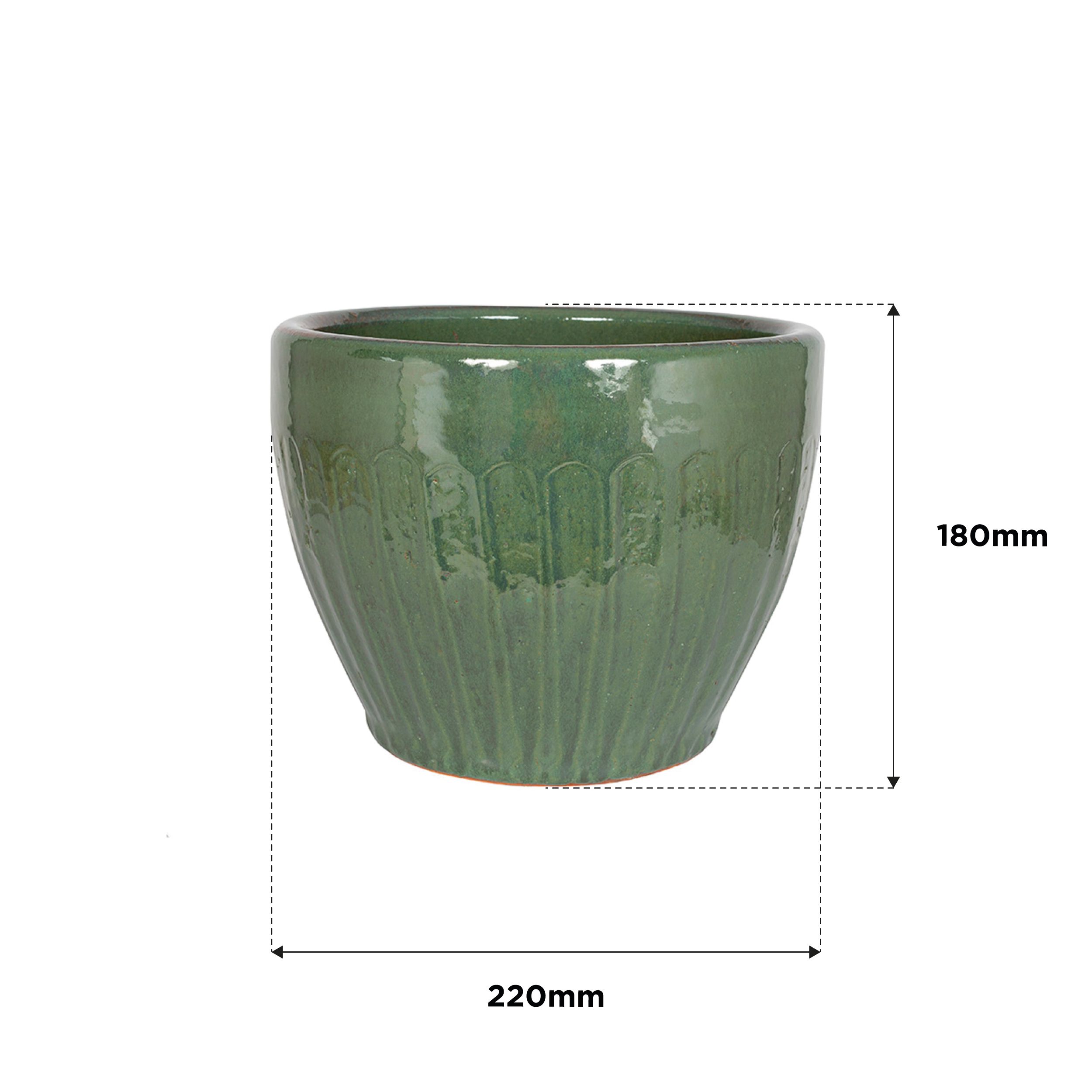Aquaflora Green Terracotta Glazed Plant pot (H)18cm
