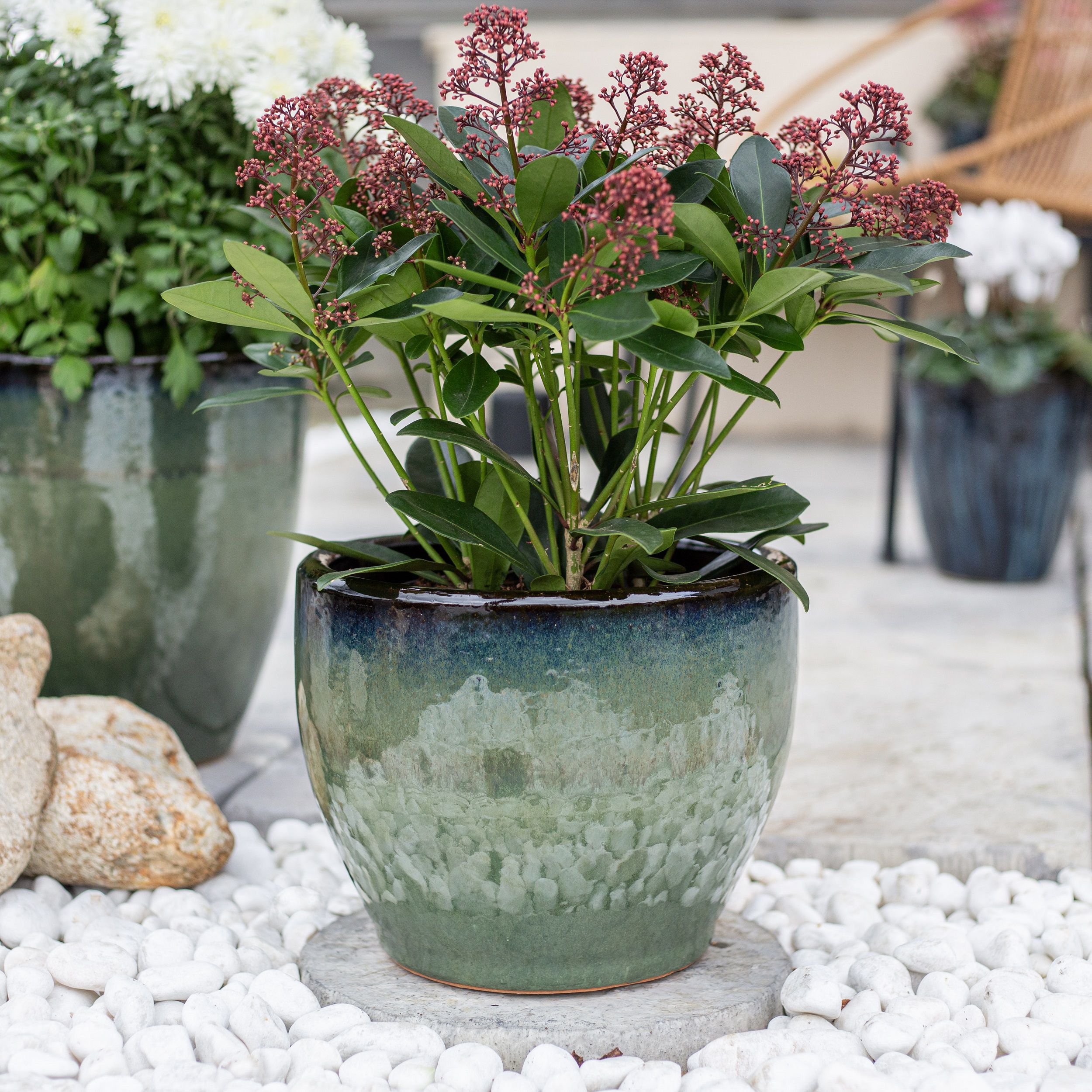 Aquaflora Green Terracotta Glazed Plant pot (H)23cm