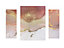Arthouse Abstract Blush Pink & Gold Canvas art, Set of 3 (H)66cm x (W)48cm