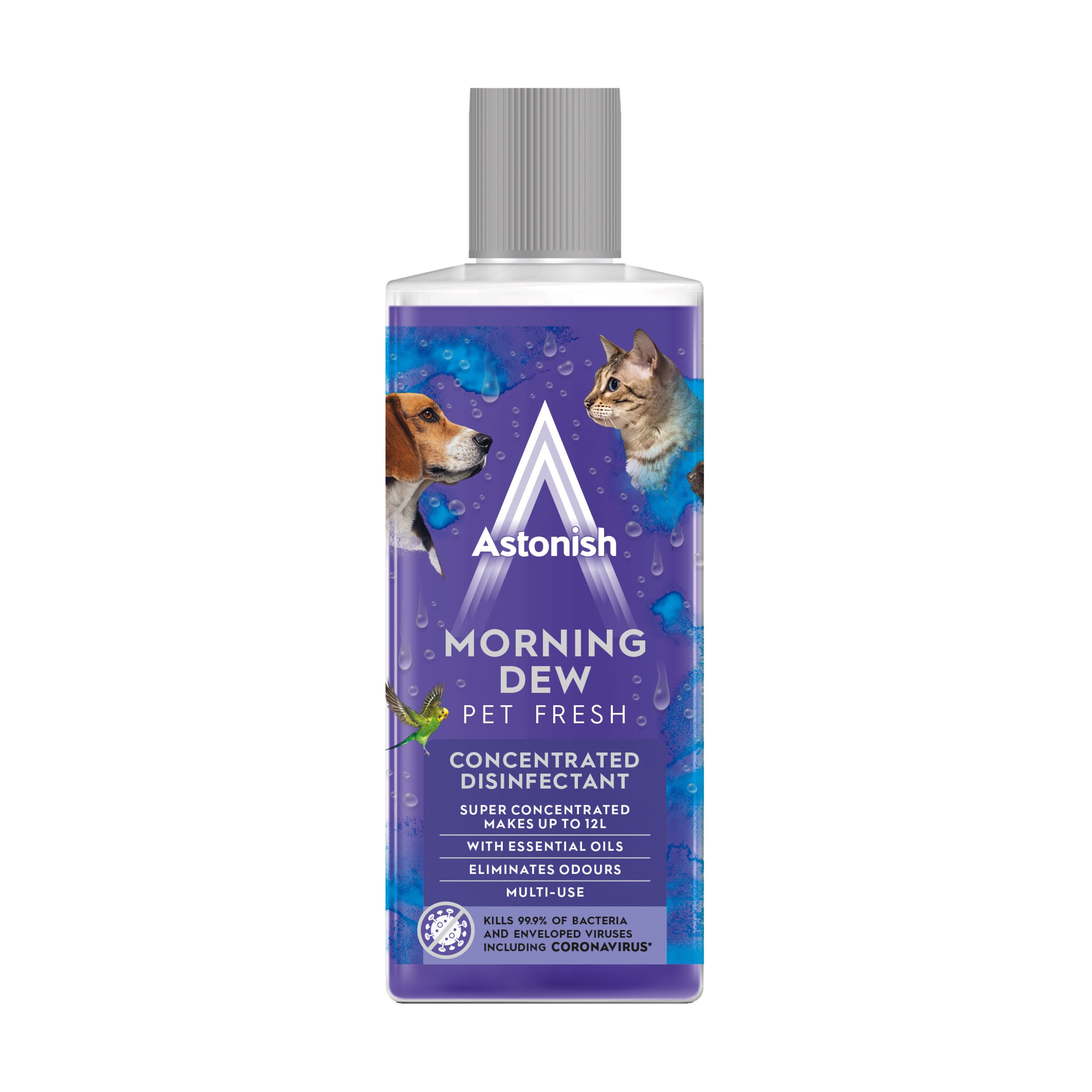 No Nonsense Disinfectant Concentrated Not anti bacterial Multi-surface Hard  non-porous surfaces Any room Disinfectant & cleaner, 5L Bottle