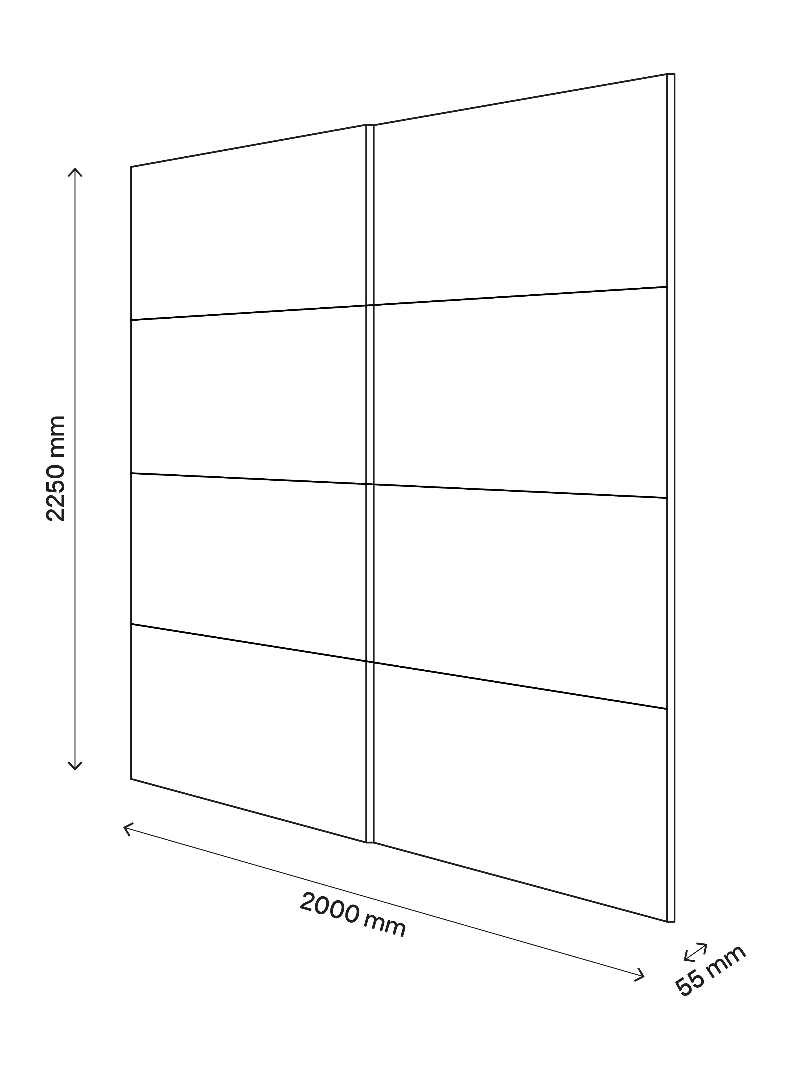 Atomia Panelled Mirrored Anthracite High gloss 2 door Sliding Wardrobe Door kit (H)2250mm (W)2000mm