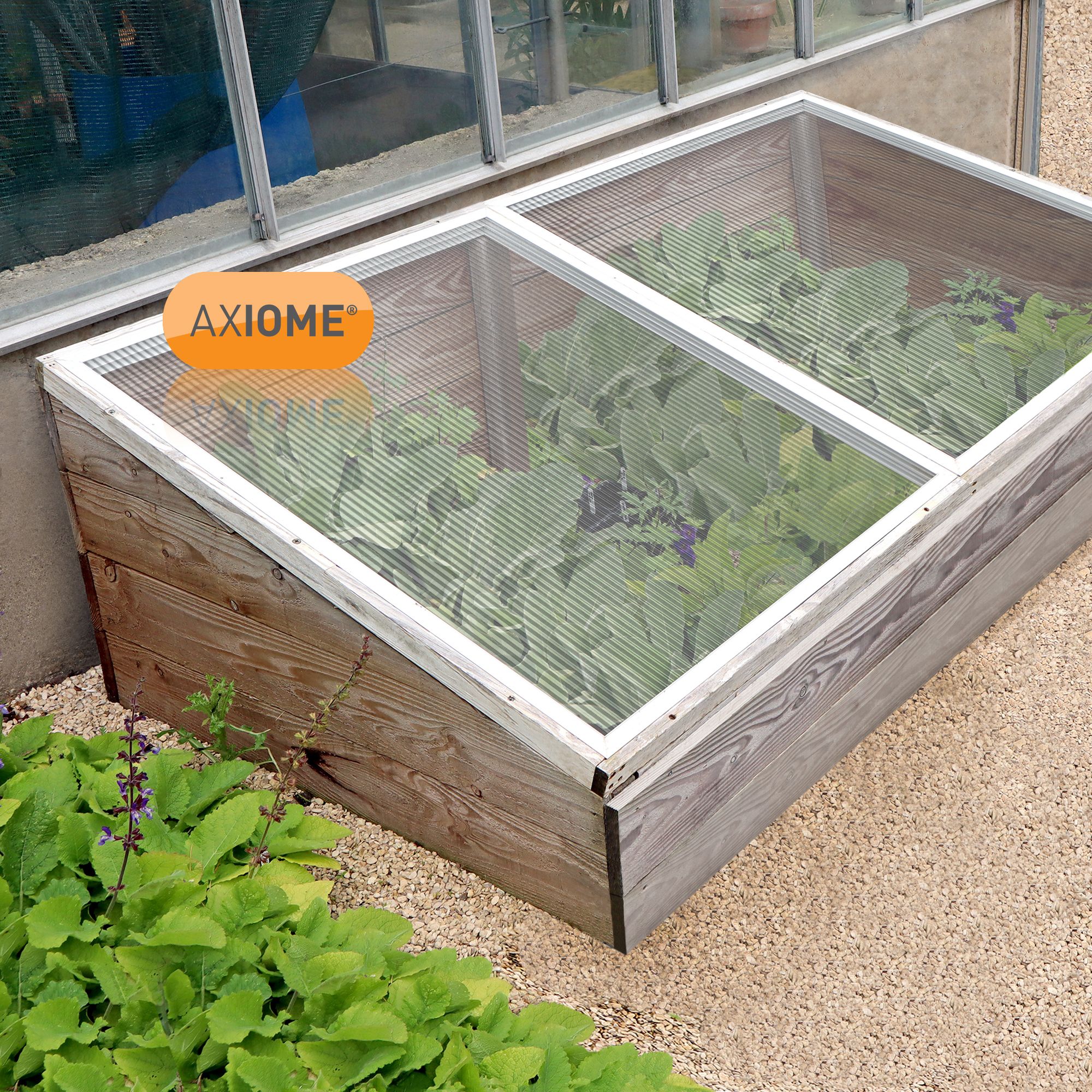 Axiome Clear Polycarbonate Twinwall Roofing sheet (L)4m (W)690mm (T)6mm