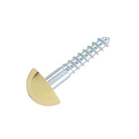 B&Q Metal Mirror screw (L)25mm, Pack of 4