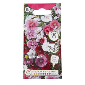 Baby doll Sweet william Seed