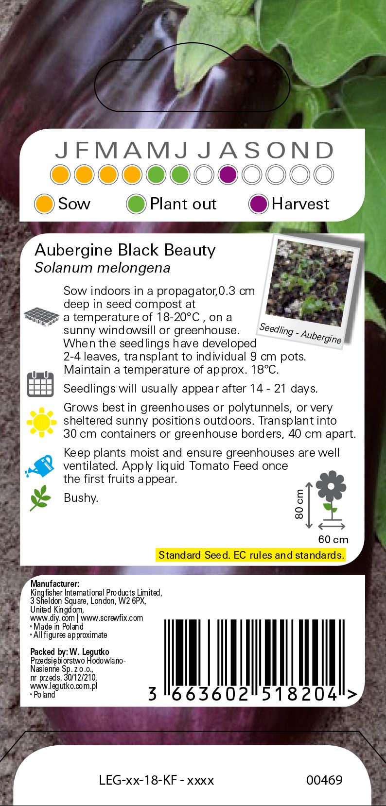 Black beauty aubergine Seed