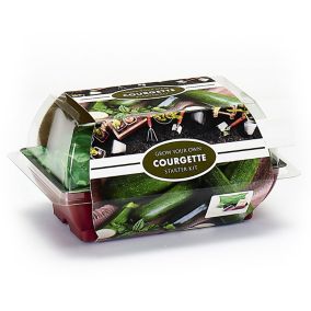 Black Beauty Courgette Growing kit