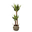 Black Seagrass Herringbone Circular Plant pot (Dia)21cm