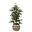 Black Seagrass Herringbone Circular Plant pot (Dia)25cm