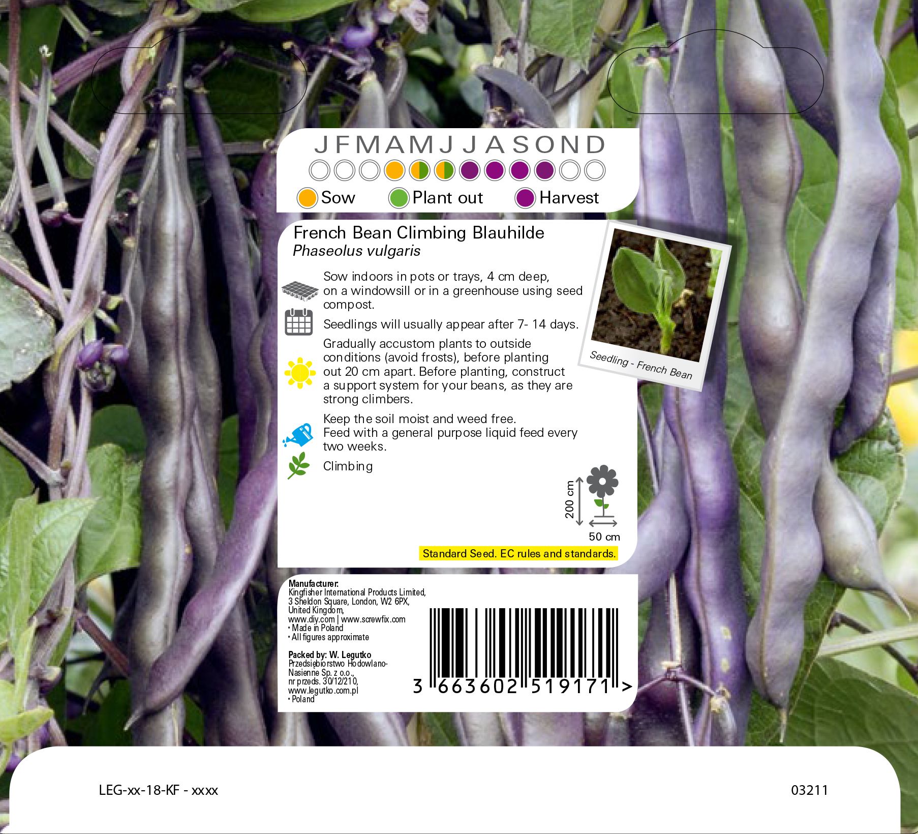 Blauhilde french bean French bean Seed