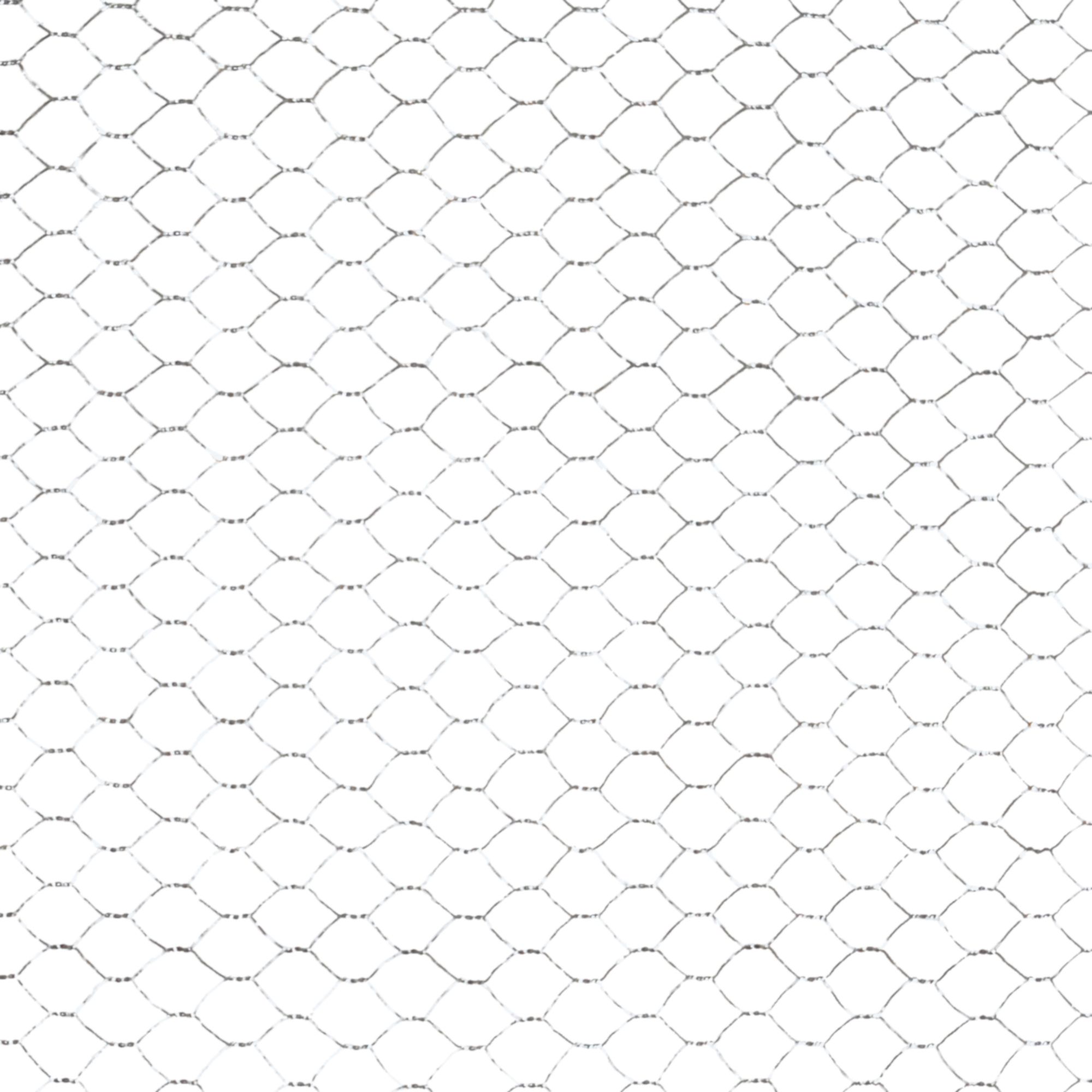 Blooma 13x13mm Galvanised Steel Triple torsion mesh, (L)10m (H)1m