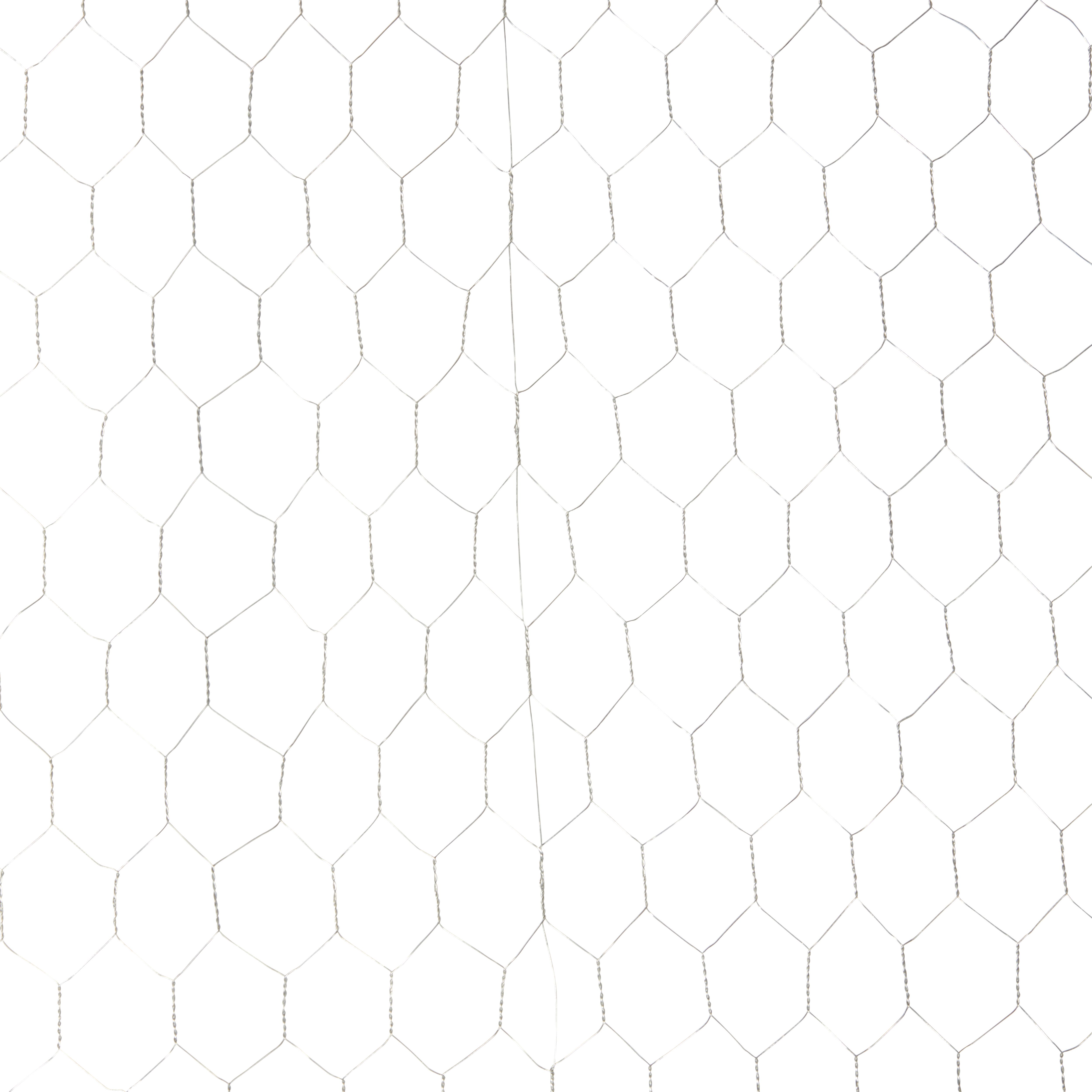Blooma 25x25mm Galvanised Steel Triple torsion mesh, (L)10m (H)1m