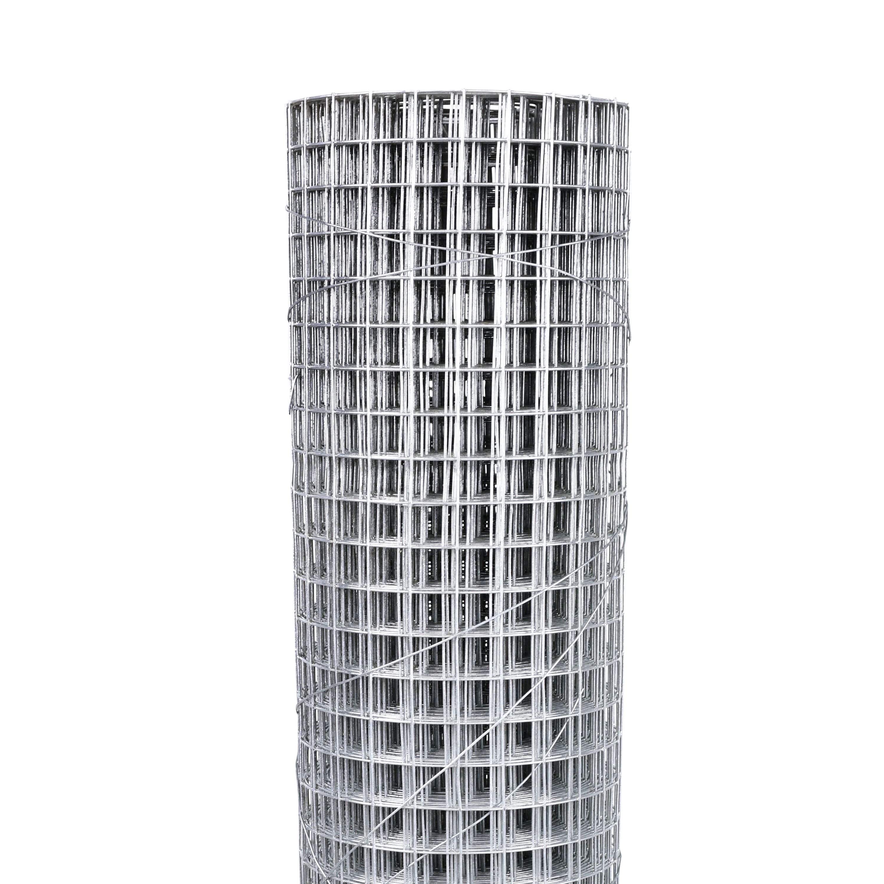 Blooma 25x25mm Galvanised Steel Wire mesh roll, (L)10m (H)1m