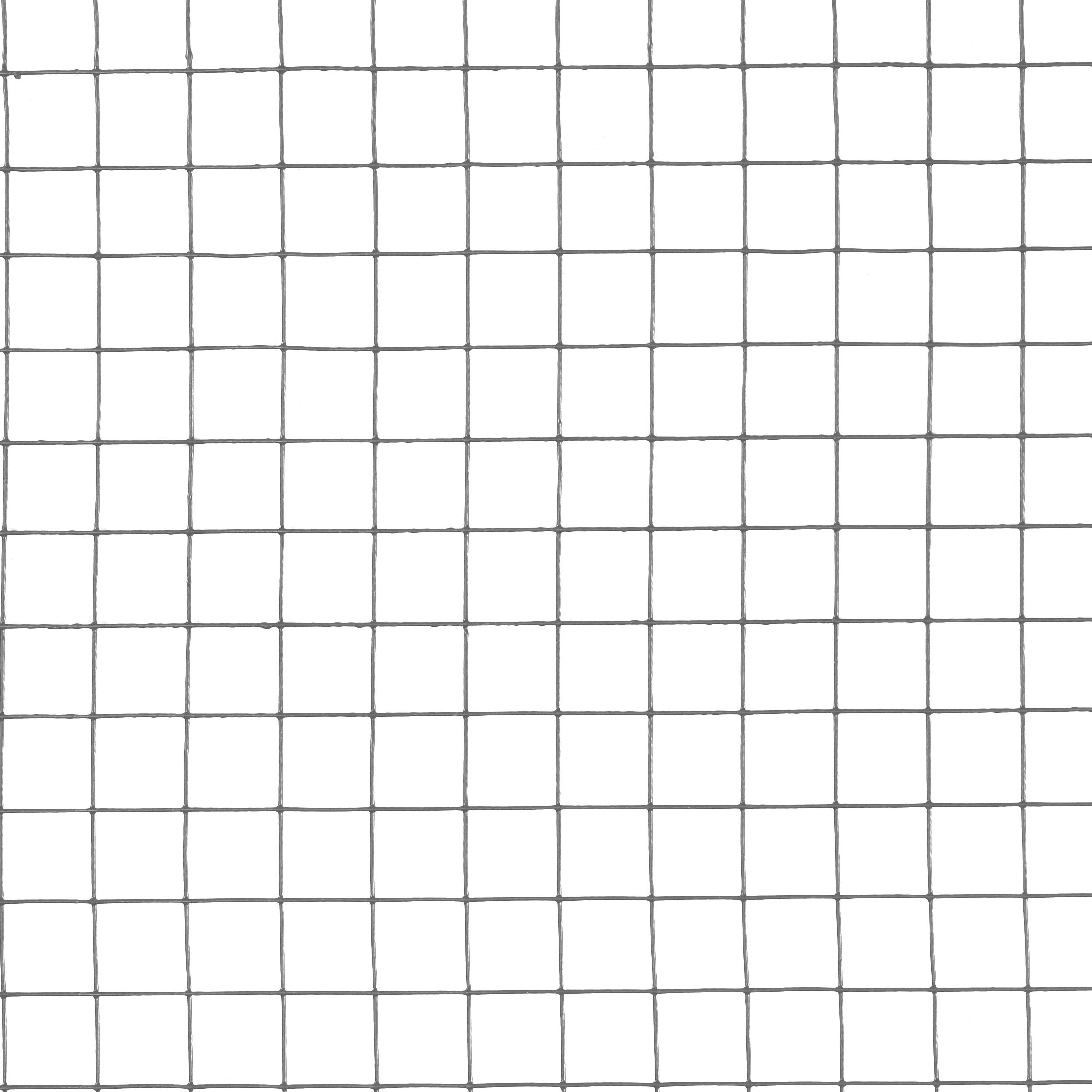 Blooma 25x25mm Galvanised Steel Wire mesh roll, (L)10m (H)1m