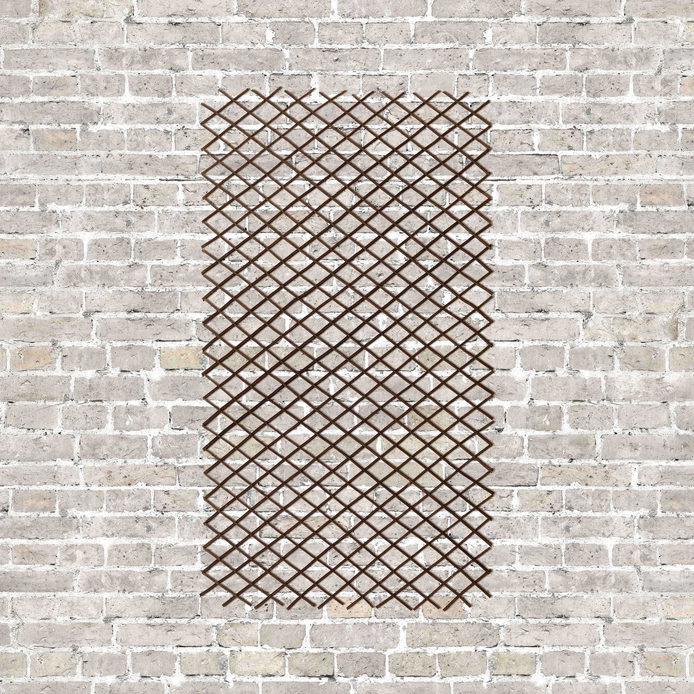 Blooma 3ft Willow Trellis panel (W)180cm x (H)90cm