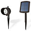 Blooma Bridger Black Solar-powered LED Outdoor Spike light