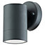 Blooma Candiac Matt Charcoal grey Mains-powered LED Outdoor Wall light 380lm 5510903424