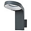 Blooma Delson Matt Charcoal grey Mains-powered LED Outdoor Wall light 330lm
