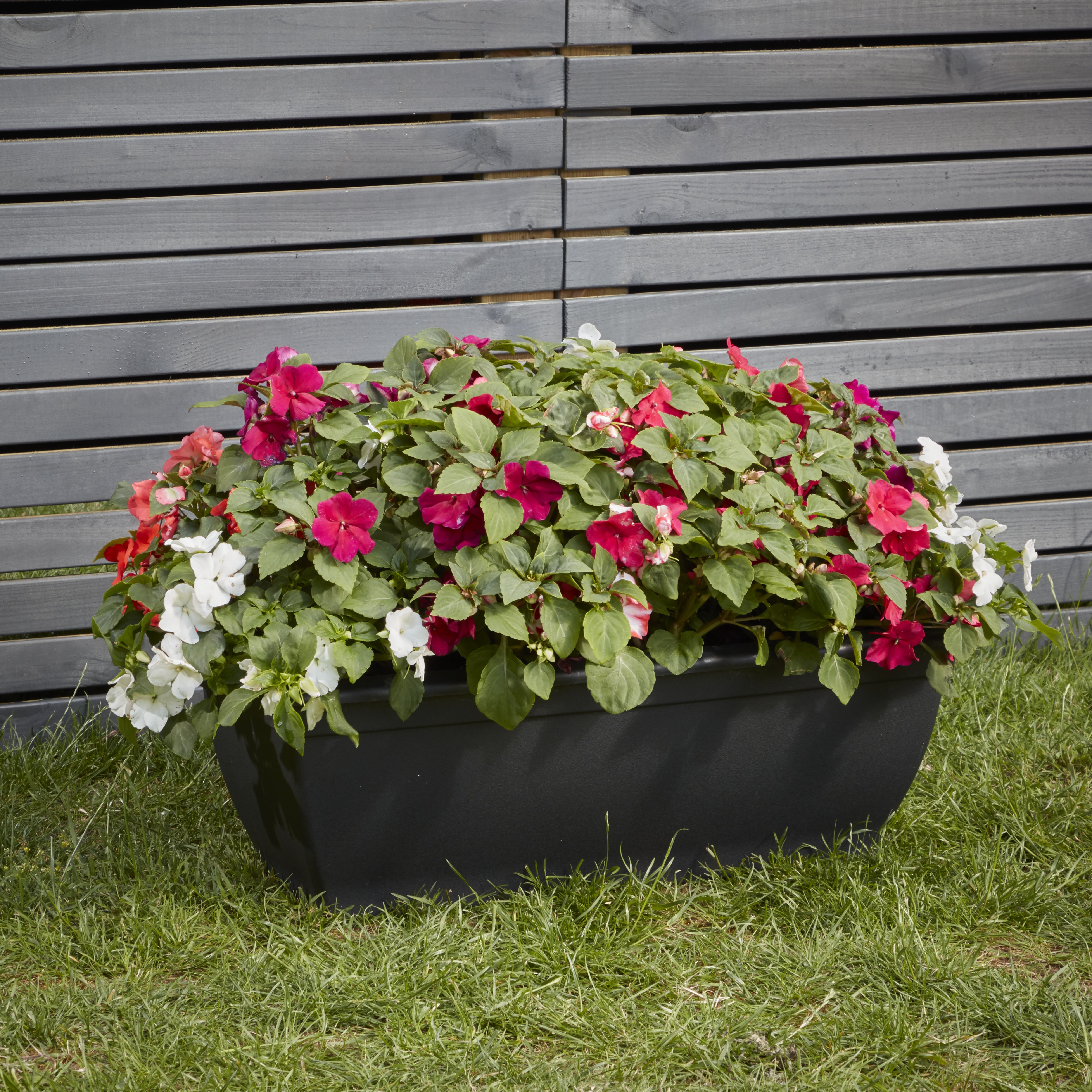 Blooma Florus Black Plastic Bell Round Trough